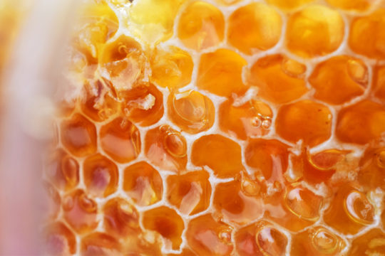 honey extract