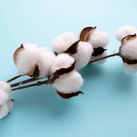 Como a flor de algodão oferece a suavidade que os consumidores precisam em seus cuidados capilares