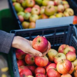 Más allá de los extractos naturales: el caso del aprovechamiento de los residuos de manzana para una belleza sostenible