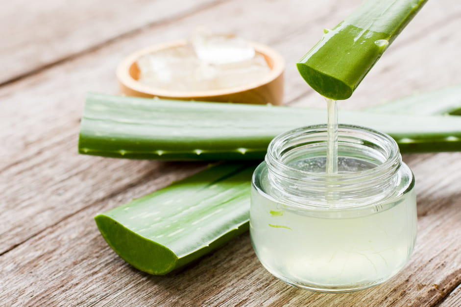 Aloe vera gel for curly hair: benefits and how to incorporate it to hair  health routines