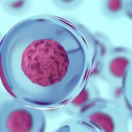 Senescencja komórkowa – proces usuwania komórek starzejących się, podczas którego nauka i technologia łączą się w erze well-aging