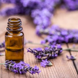 lavender for hair