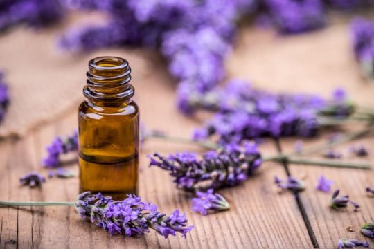 lavender for hair