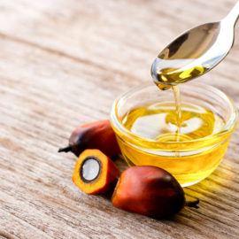 plant based oils
