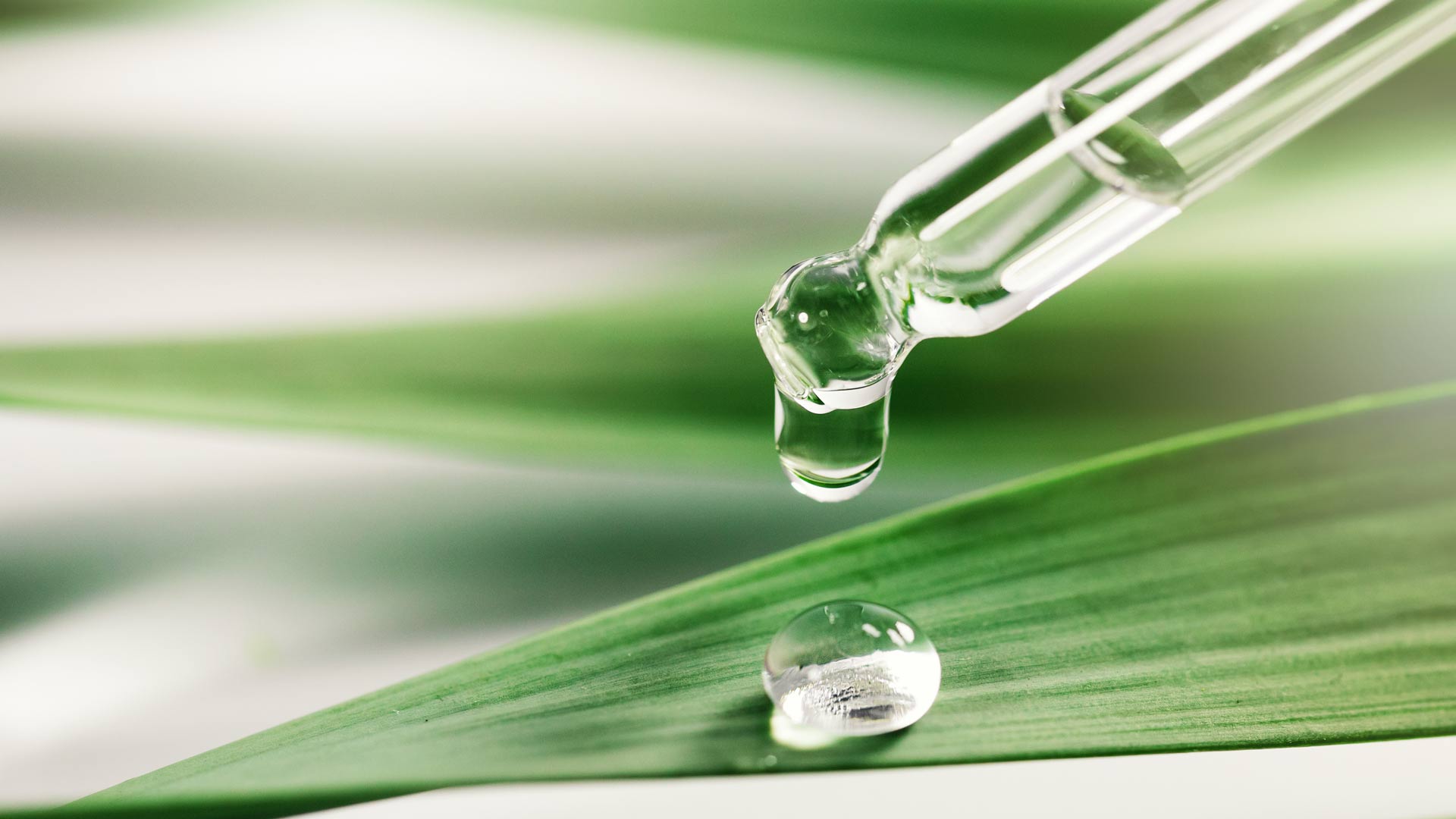 Provital Leads the Shift to Sustainable Plant-Based Butylene Glycol