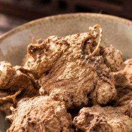 A plant based retinol alternative: discovering the power of Atractylodes lancea Atractylodes lancea root