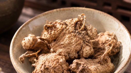 Atractylodes lancea root
